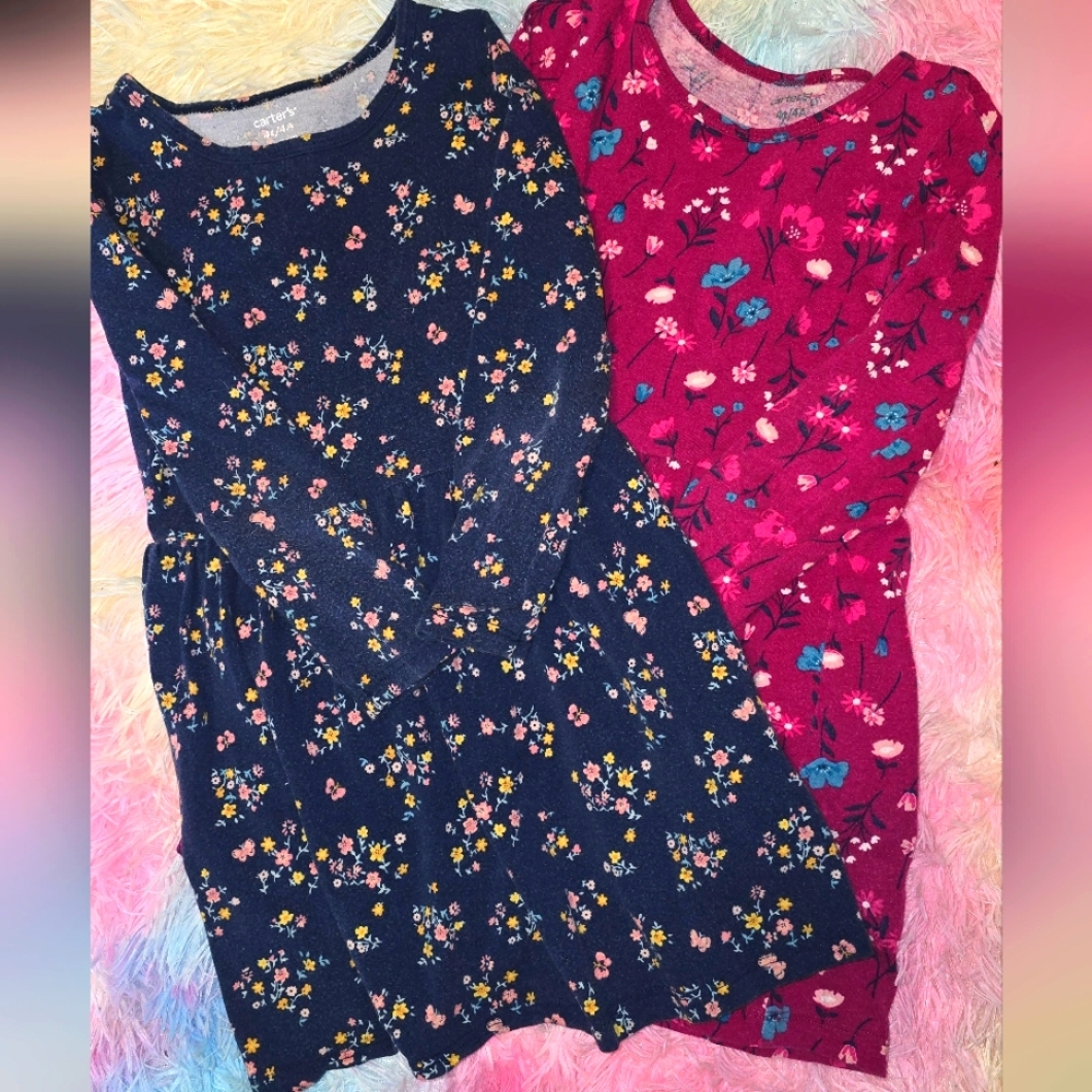 Carter’s Girls Dress Lot | Size 4T | Floral Print Bundle of 2